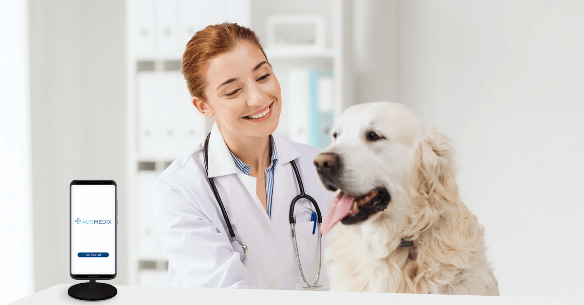 Veterinary Specialty Center veterinarian with dog